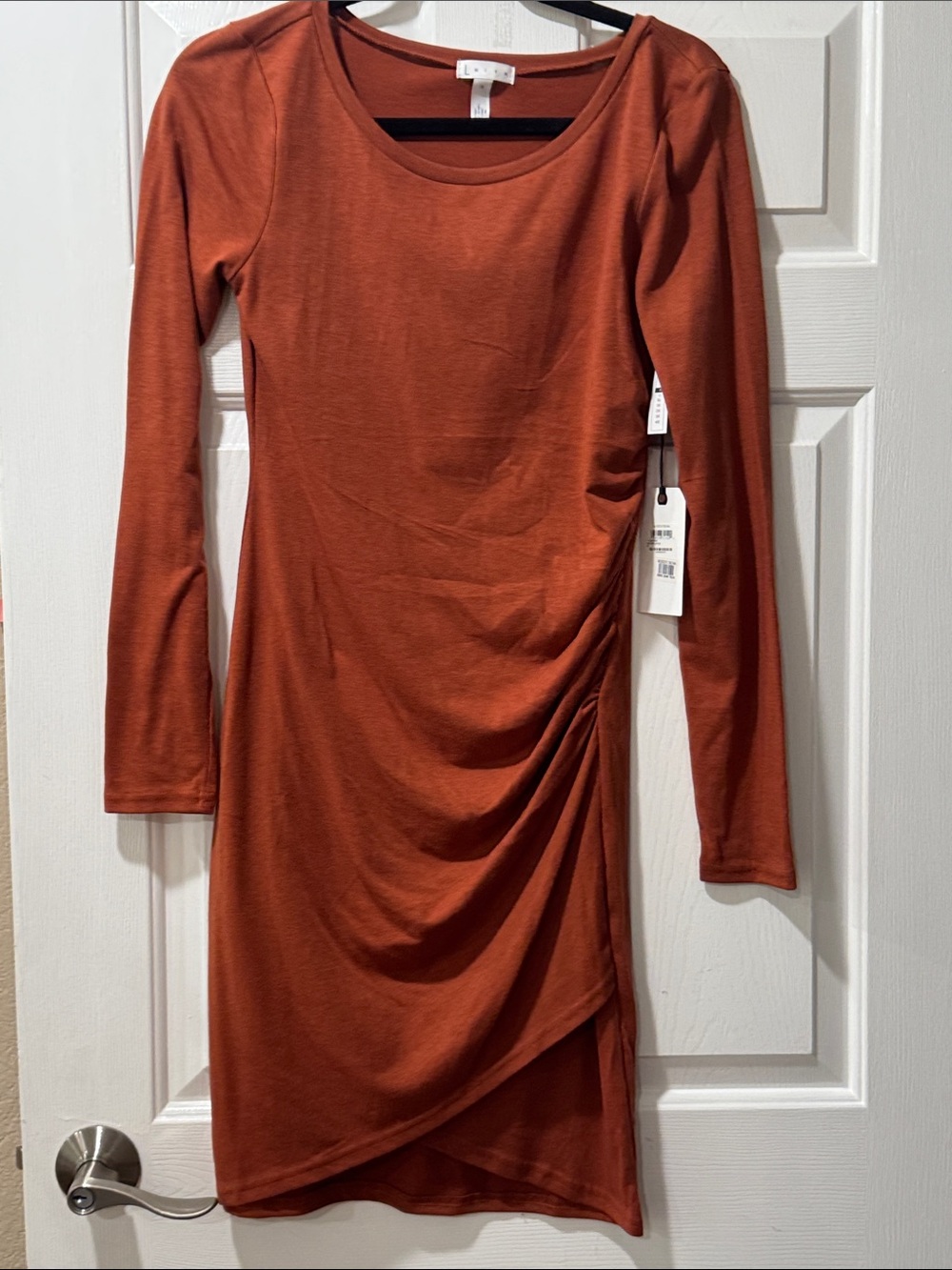 Leith Long-Sleeve Rust Orange Ruched Side Dress